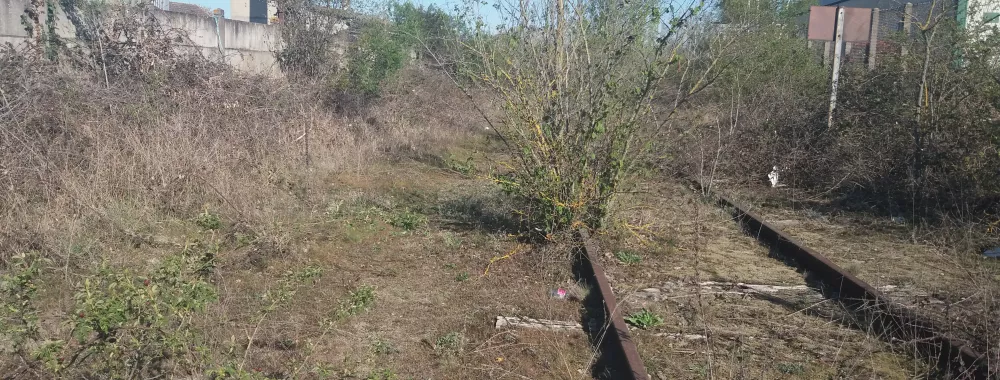 Vue rapprochée du terrain