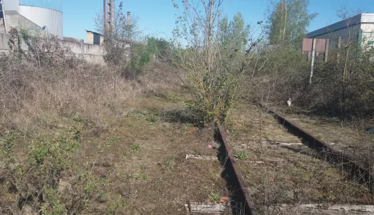 Vue rapprochée du terrain